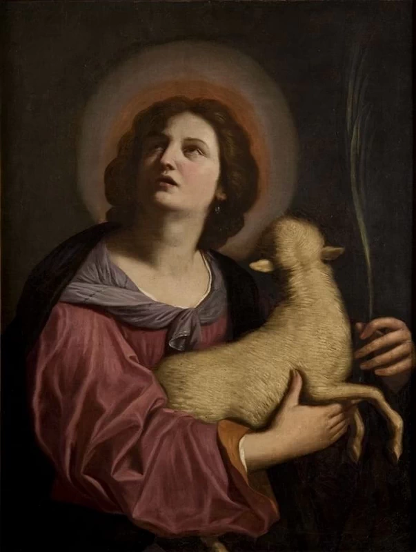 Il giovane - Sant'Agnese